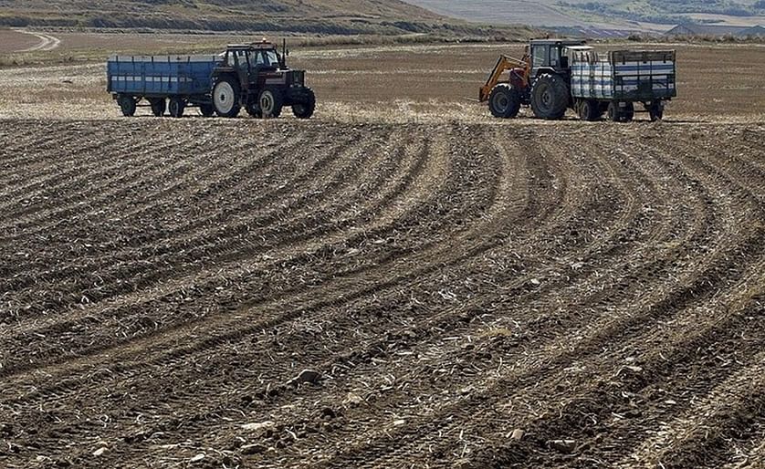 Algunos agricultores optan por no sacar las patatas de la tierra para no aumentar las pérdidas
